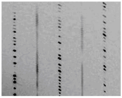 Reconstructed precession image showing structured diffuse scattering