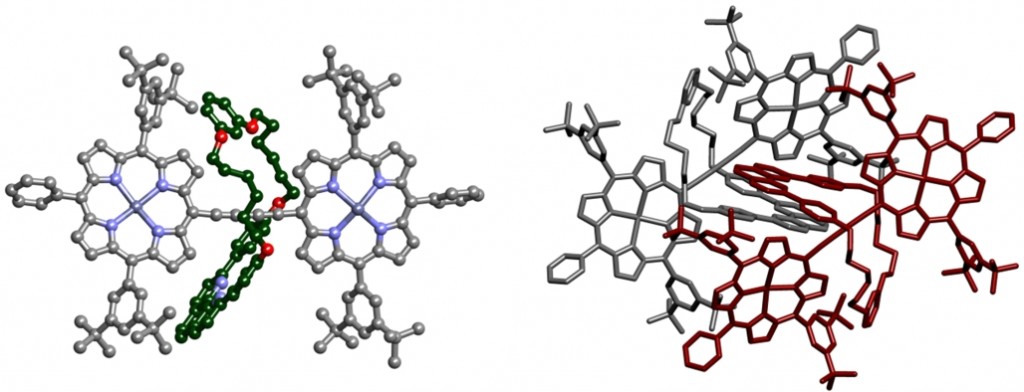 Structure of the Month - June 2011