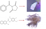 Annotated article on RSC Learn Chemistry site